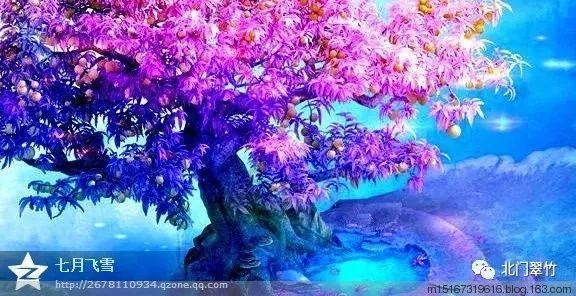 超外星兄妹4